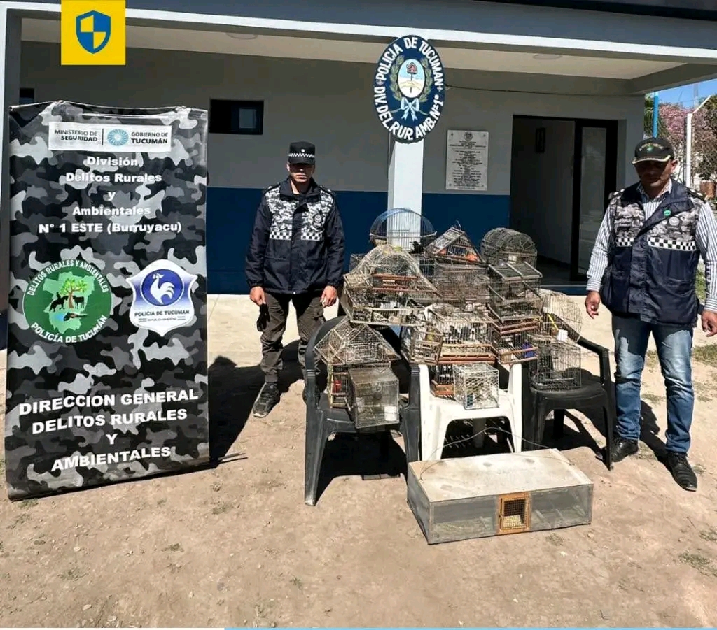 Imagen Noticia