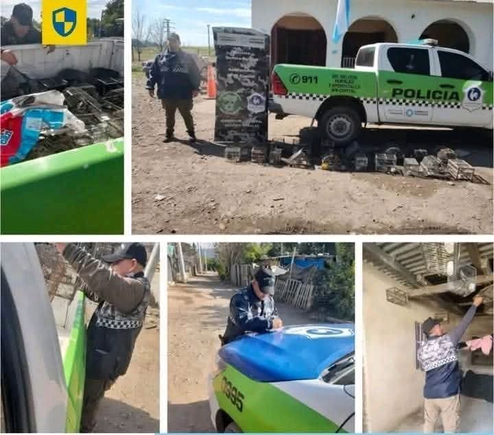 Imagen Noticia