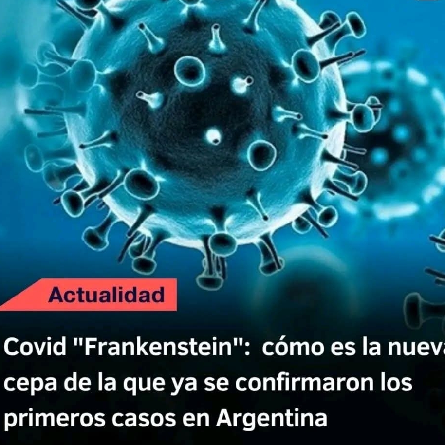 Imagen Noticia