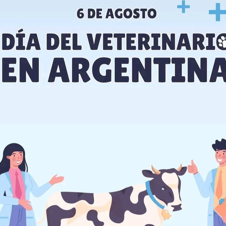 Imagen Noticia